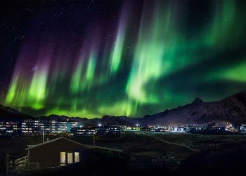 Lisk Lights up the Markets Amid Crypto Selloff