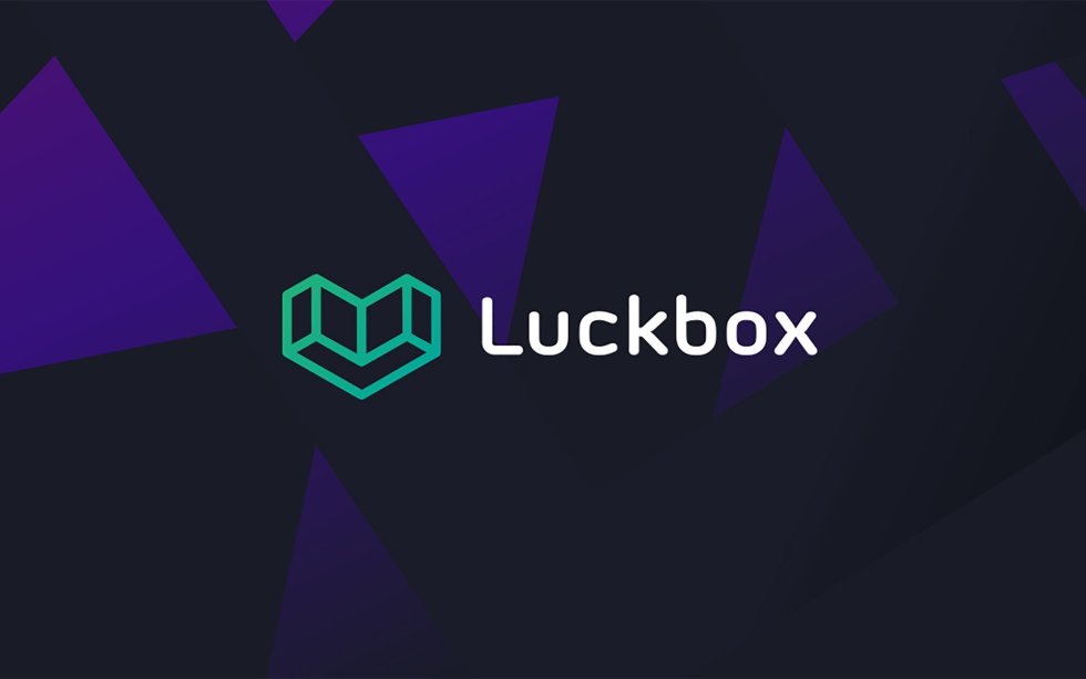 Behind the Scenes of an ICO: What It Takes to Succeed