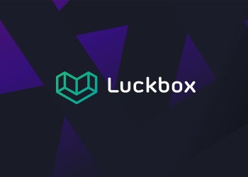 Behind the Scenes of an ICO: What It Takes to Succeed