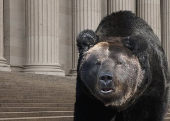 Bitcoin price bear