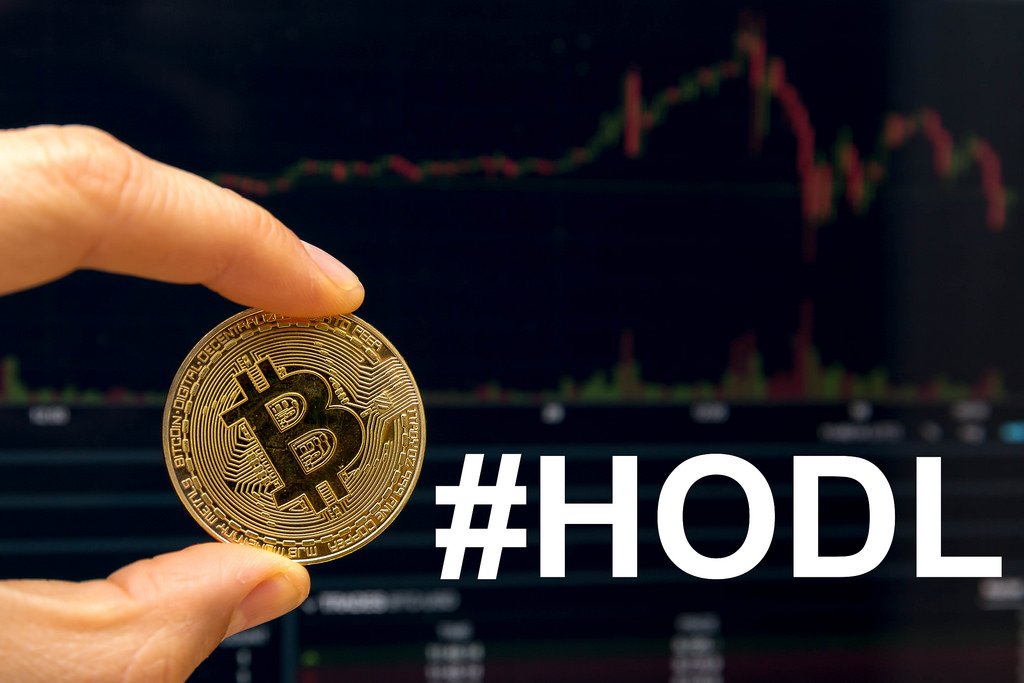 buy and hodl crypto