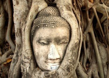 Crypto Investors in Thailand Will Get Taxed