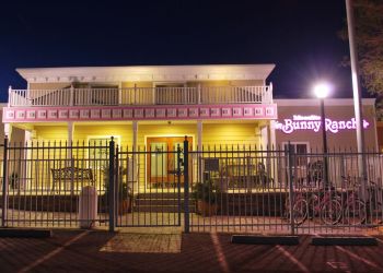 Brothel Goes All the Way and Accepts Its First Bitcoin Payment