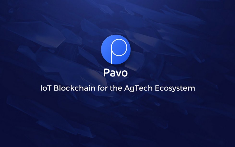 Prominent Blockchain Expert and Entrepreneur Keith Teare Joins Pavo’s Advisory Board