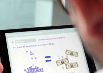 A New Phase of Startups: Crypto For Kids?