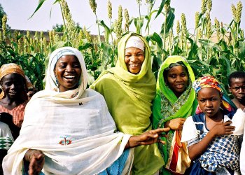 Crypto Marketplace Paxful Helps Nigerians Avoid Bitcoin Scams