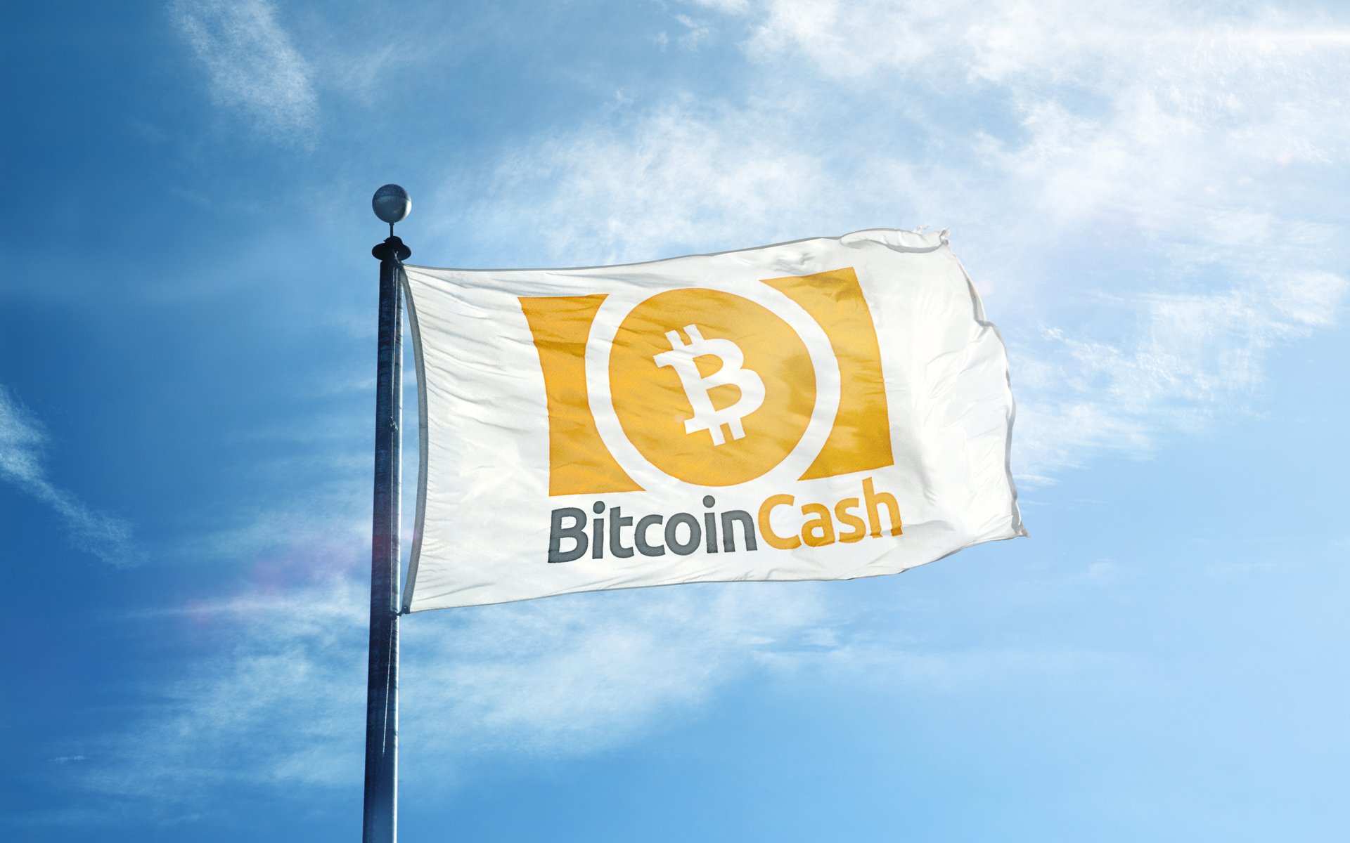 bitcoin cash is dead