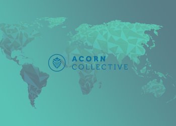 Access, Success, and Transparency: Introducing Acorn