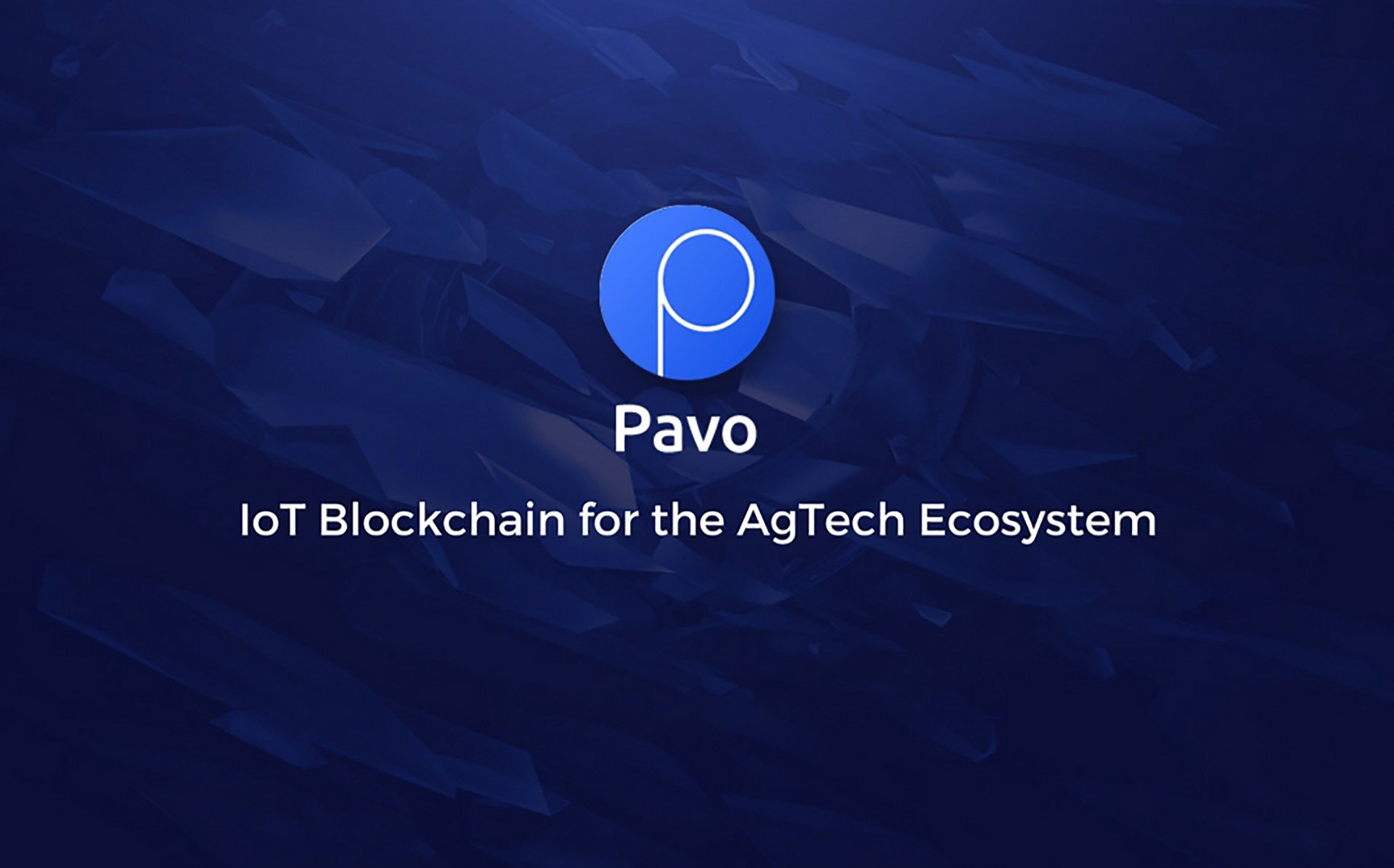 Pavo Performs Ongoing California Installations of Their IoT Blockchain Solution for Agriculture