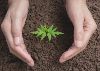 SEC Commissioner Says Crypto Fraud Protection is Priority Number One