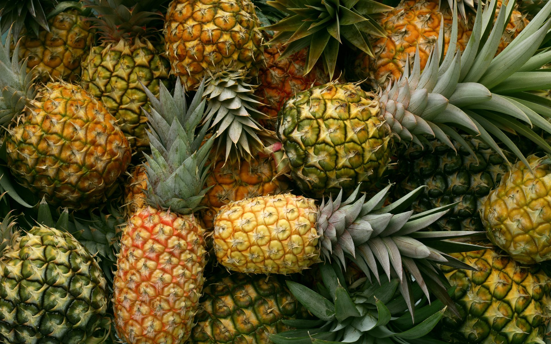 pineapple fund