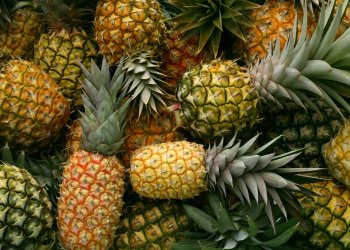pineapple fund