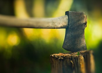 Netherlands’ Biggest Crypto Exchange Removes Bitcoin Cash Before Hard Fork