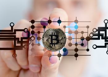 Social Media ‘Silent Majority’ Predicts Bitcoin Market