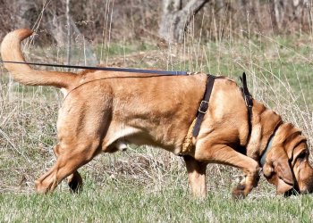 Yes, Your Bitcoin Transactions Can Be Tracked - and Here Are the Companies That Are Doing It