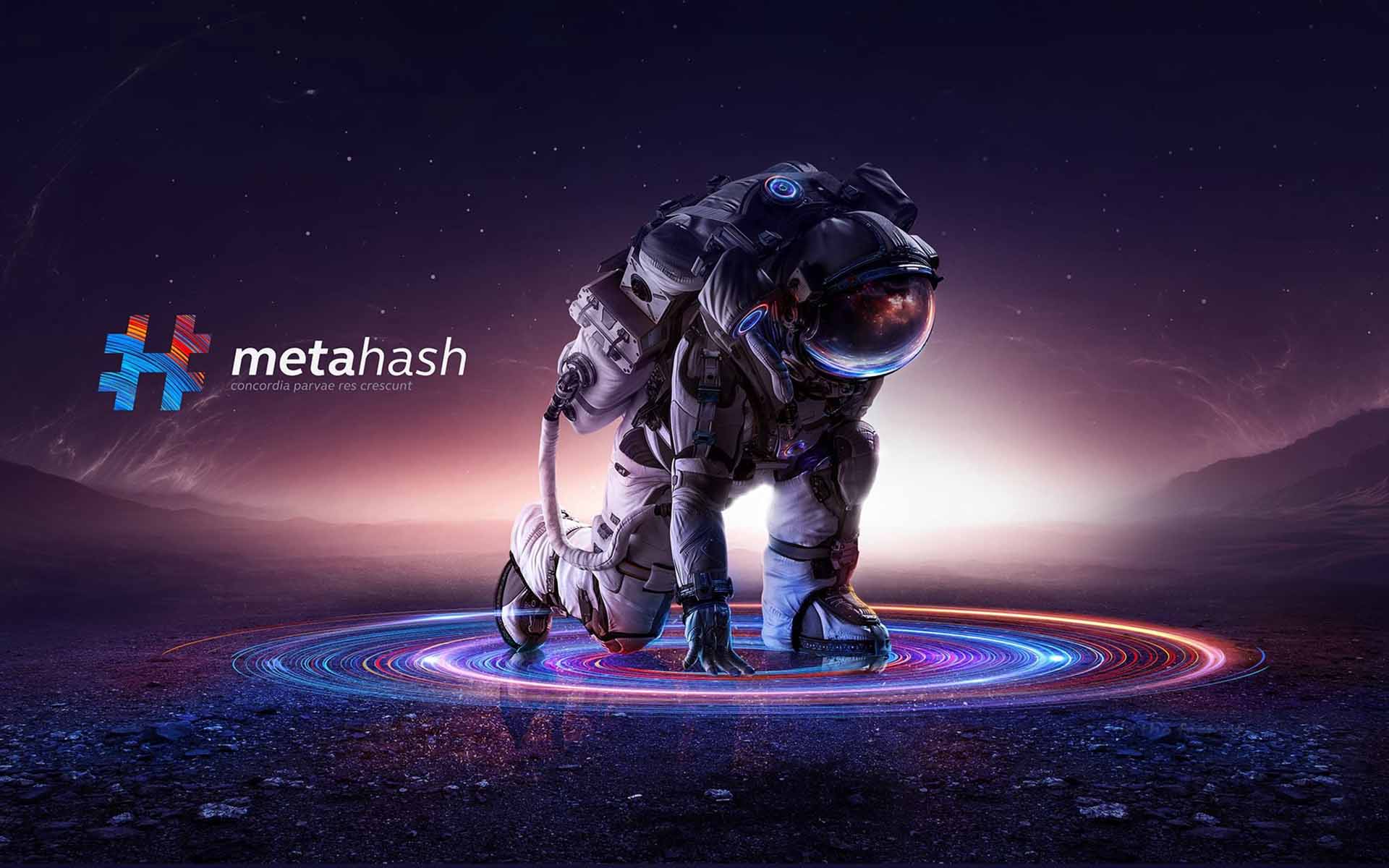#MetaHash: A Revolutionary Payment and Decentralized Data Storage System?