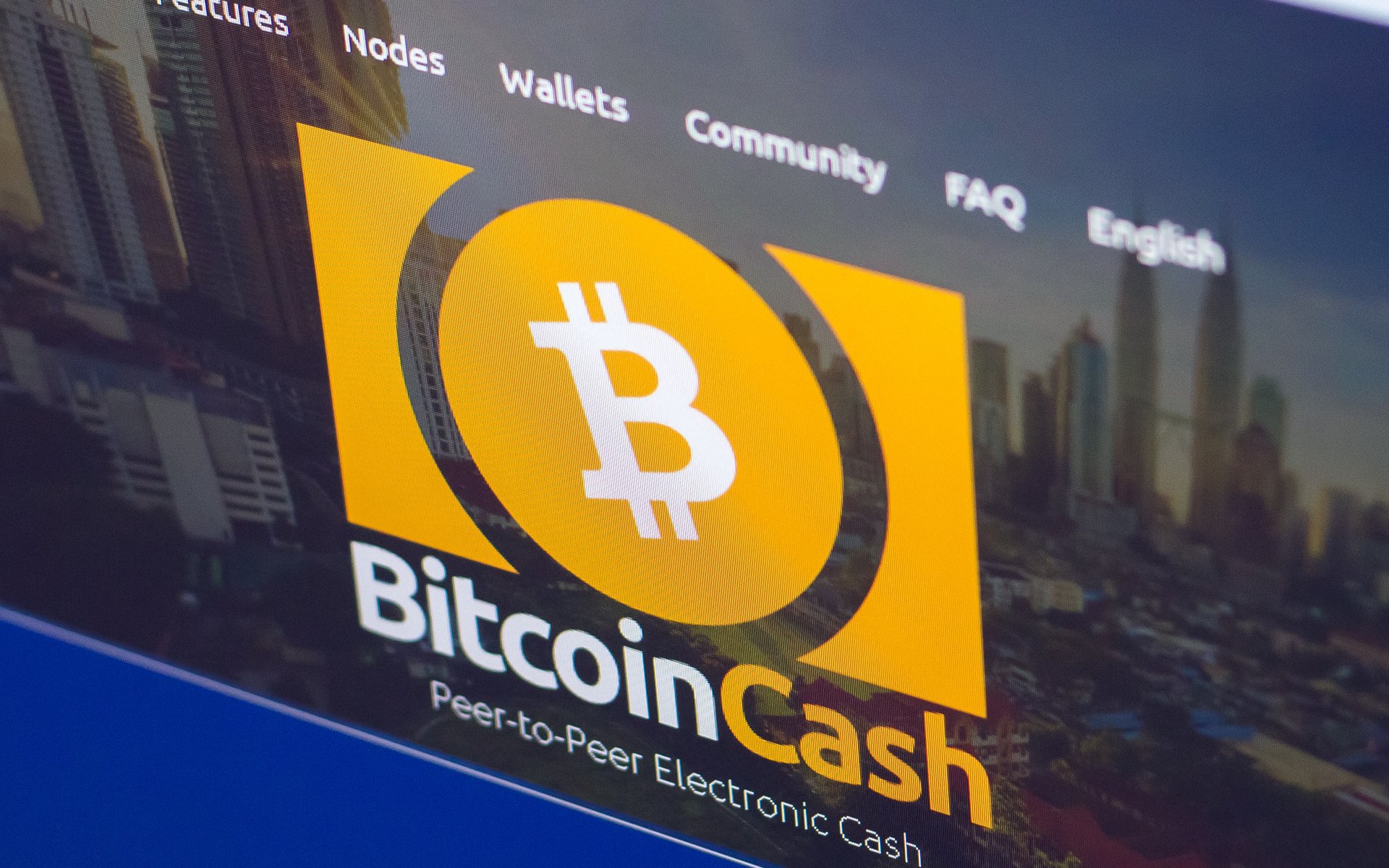 bitcoin cash acronym