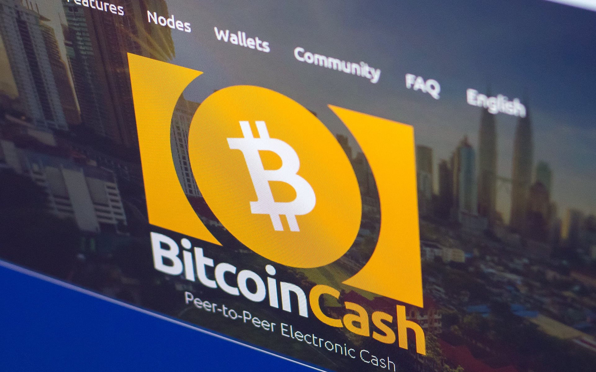 bitcoin cash purchases are temporarily disabled