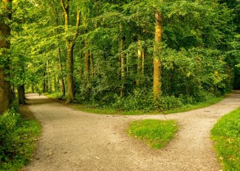 Bitcoin Breaks Ties with S&P 500 As Prices Diverge