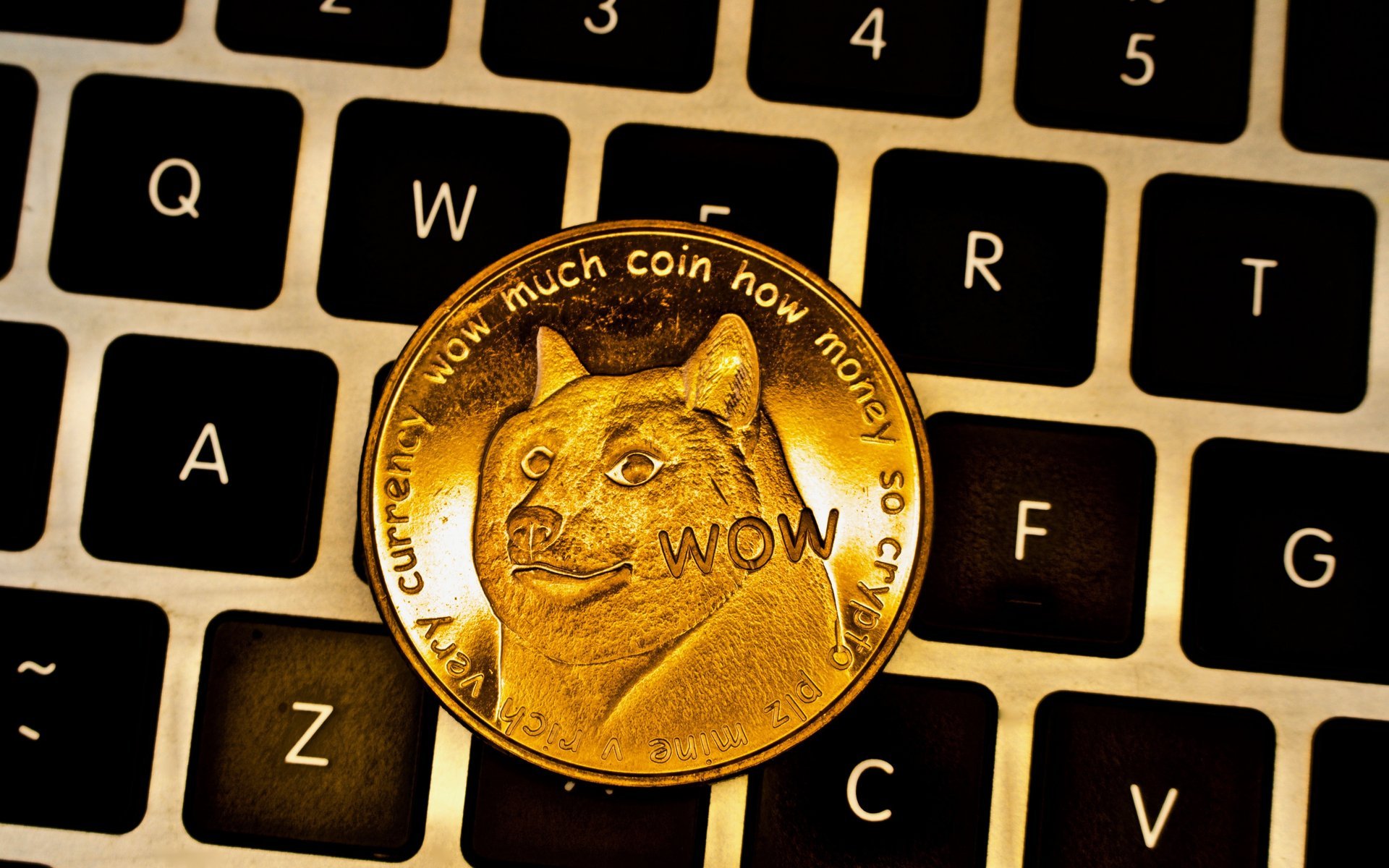 Such Currency, Much #Fail: Dogecoin Transactions 300% Higher Than Bitcoin Cash