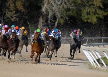 AmWager.com, Live Horse Racing, Betting, Sports betting