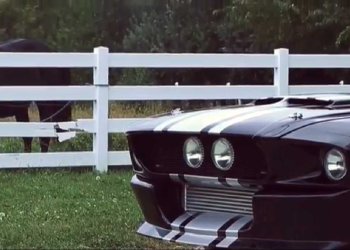 Classic Cars for Cryptocurrency – Mustang Madness