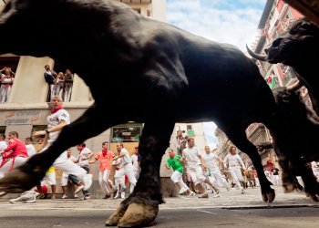 Bitcoin Could See Largest Bull Run in History, Says Market Analyst