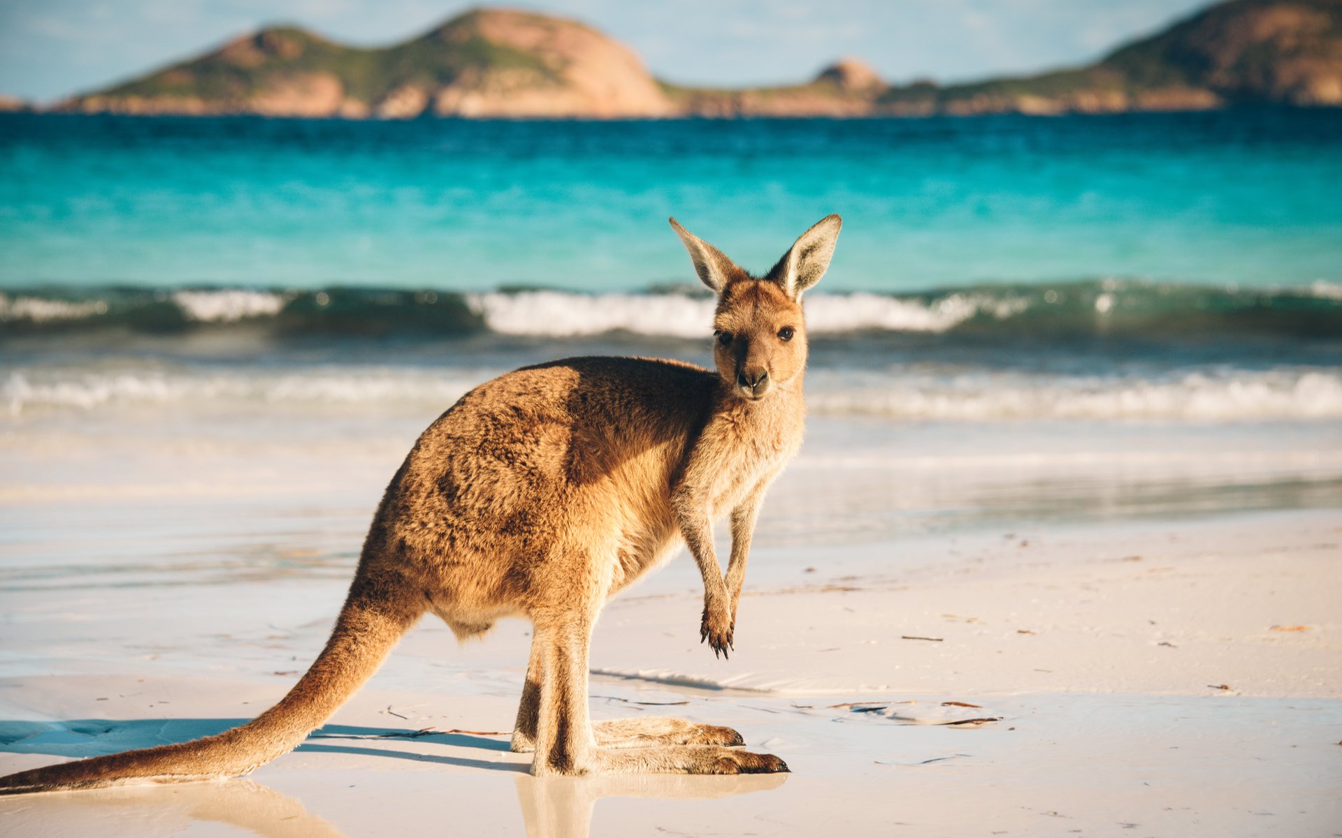 Huobi Heads Down Under — Offers Ten Cryptocurrency/AUD Trading Pairs