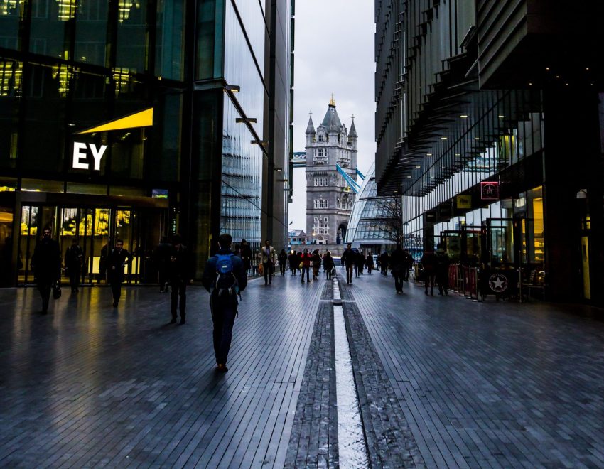 Ernst & Young Have Acquired Cryptocurrency Investment Software