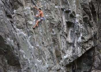 Venture Capitalist Tim Draper Holds Strong on Bitcoin as Dominance Moves Up