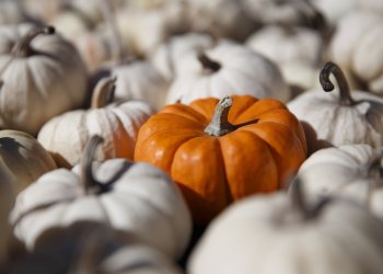 Why Bitcoin Would Probably Not Get Listed on Binance Today