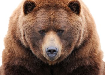 Bakkt Binance Bearish