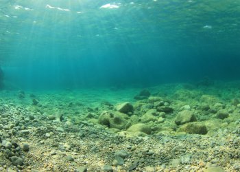 Identifying Bitcoin Price Bottom May Not Be That Important