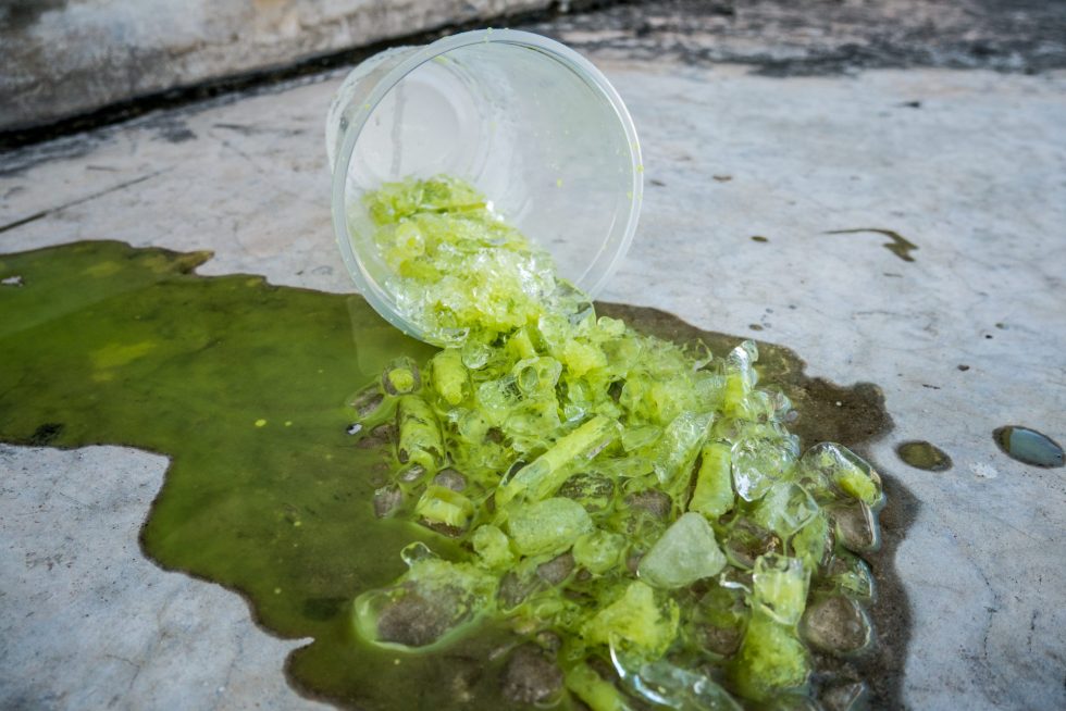 Long Blockchain Subpoenaed by SEC Amid Re-Branding Efforts.