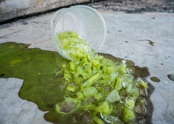 Long Blockchain Subpoenaed by SEC Amid Re-Branding Efforts.