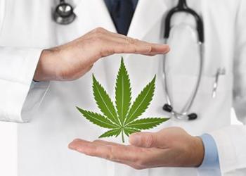 High Return? CannabisCare CopyPortfolio Offered By eToro