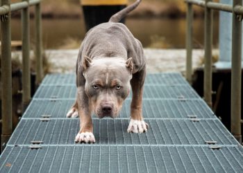 Cyprus Regulatory Watchdog Open-Minded Towards Blockchain and Crypto