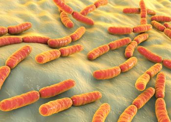 Bacteria Bio May Help Account for Bitcoin Movements