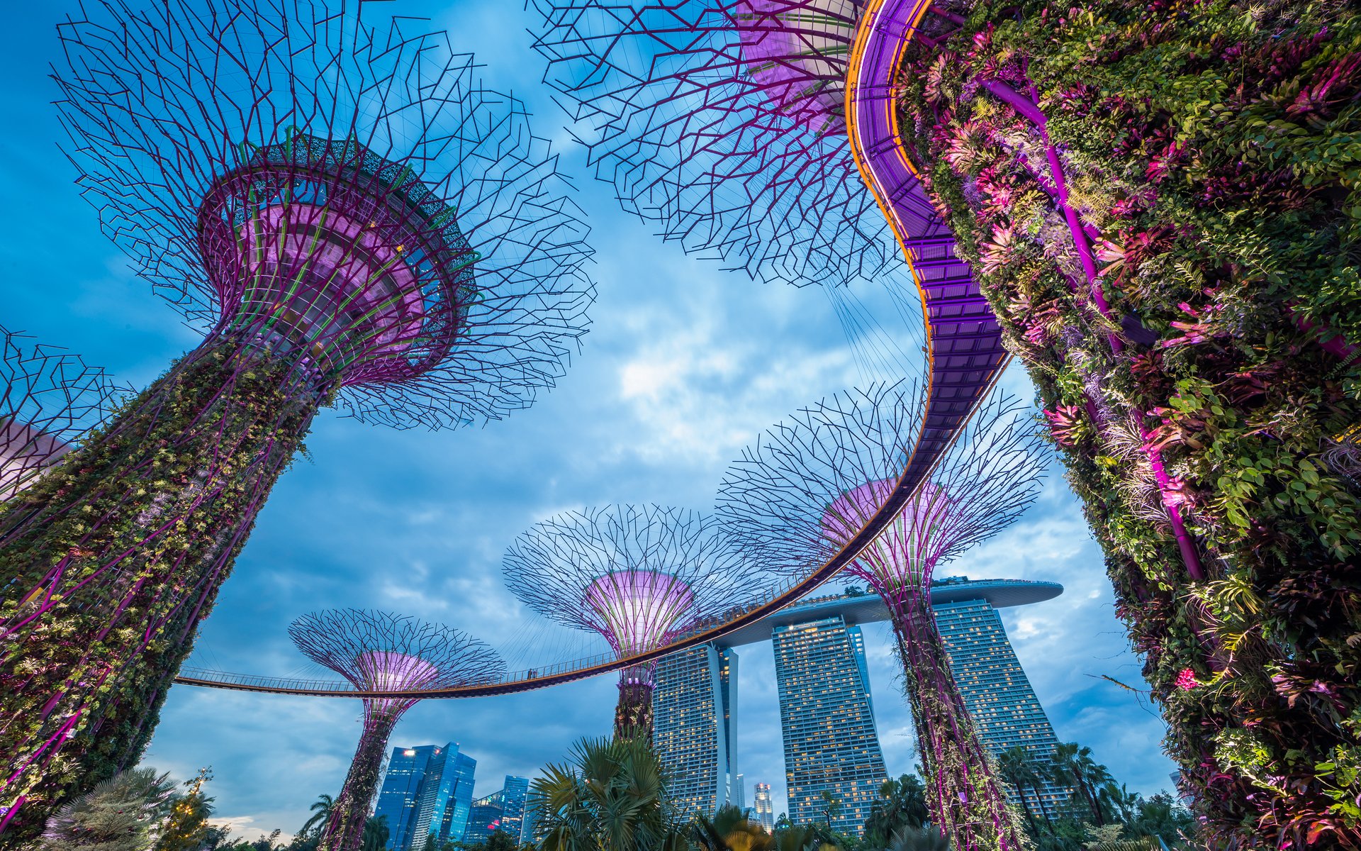 Singapore May Become First Country to Fully Embrace Cryptocurrencies