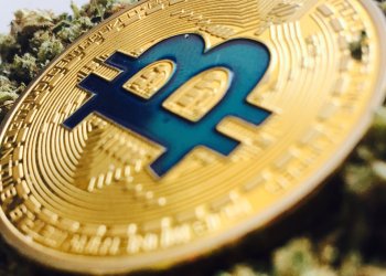 Tilray & Marijuana Stocks Smoke Cryptocurrency, Then Go Poof