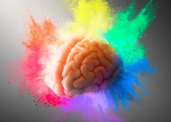 Braains OS slush pool