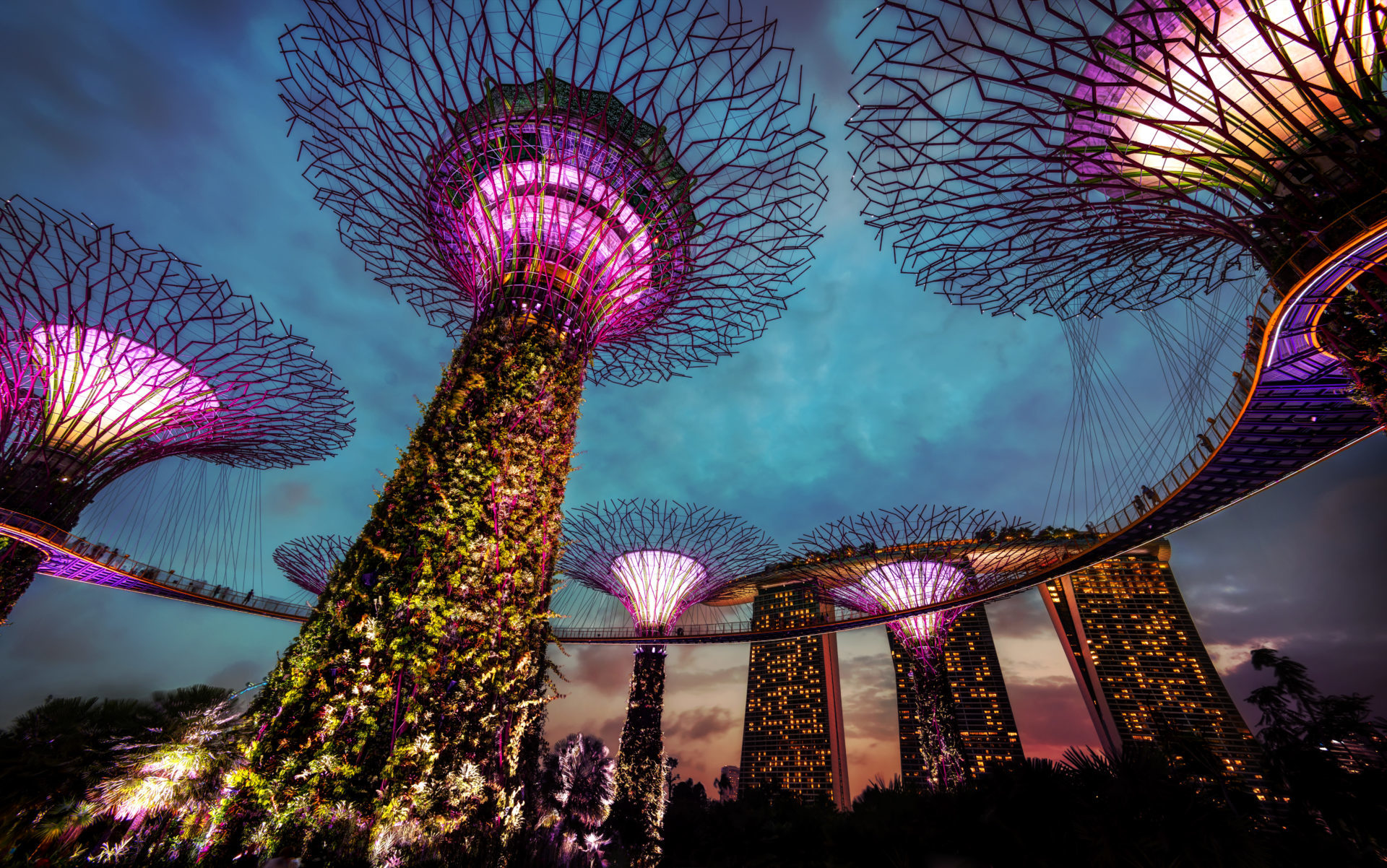 Singapore could embrace bitcoin first