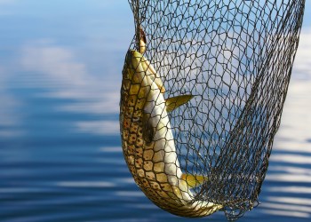 Circle & Coinbase Partner Up For a Better Stablecoin, But There’s a Catch