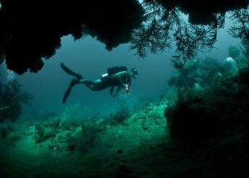 Bitcoin Value Indicator Says Price ‘Still Overbought’ But Bottom ‘Near’