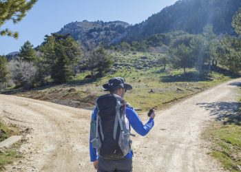 Sia Announces Hard Fork to Brick Bitmain ASICs