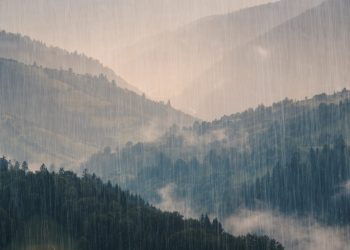 ICOs Sold Almost as Much as They Raised According to New BitMEX Research