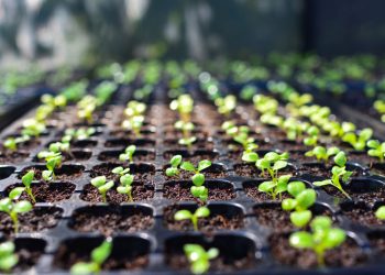 Bitcoin OTC index Binance