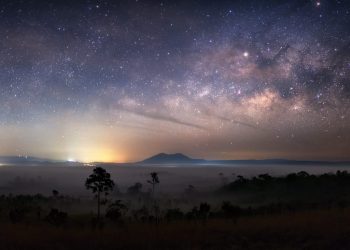 Winklevoss-Owned Bitcoin Exchange 'Gemini' Adds Litecoin Trading Pairs