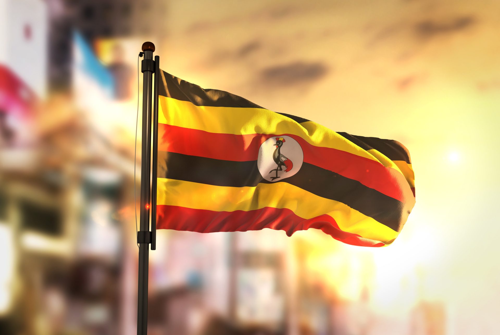 Uganda crypto scammers law