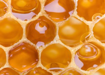 Honeycomb Helps Journalists and Publishers Harness Mobile Mining